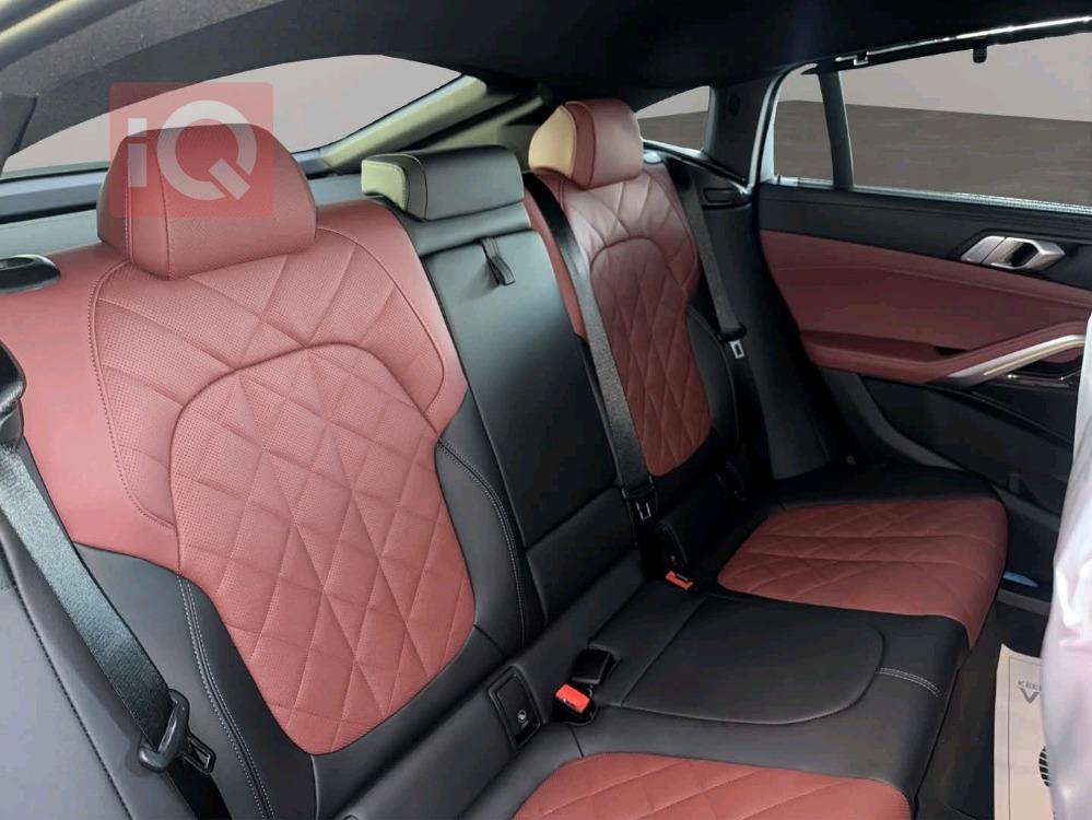 بي ام دبليو X6